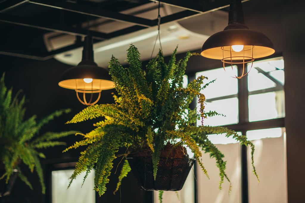 Srisuksant Square Hostel Krabi town Εξωτερικό φωτογραφία